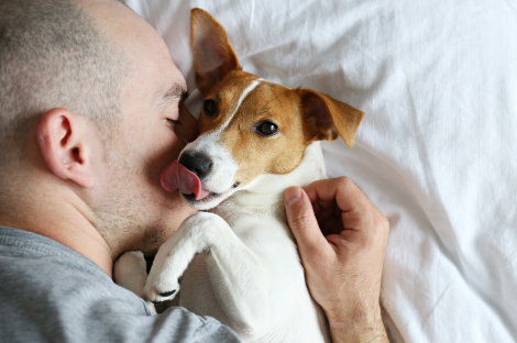 Person relaxing with an emotional support dog